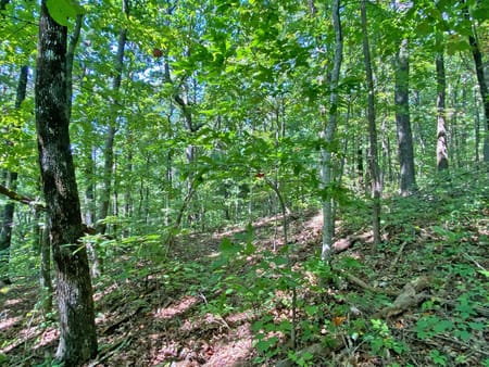Dahlonega, GA 30533 Dawson County
