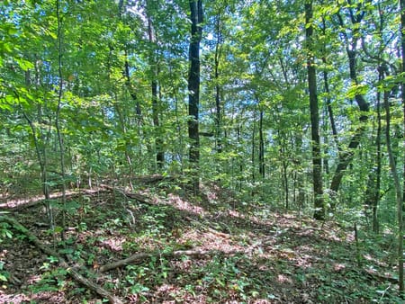 Dahlonega, GA 30533 Dawson County