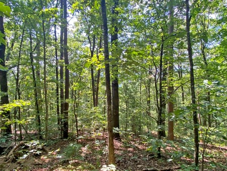 Dahlonega, GA 30533 Dawson County