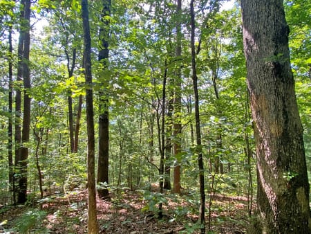 Dahlonega, GA 30533 Dawson County