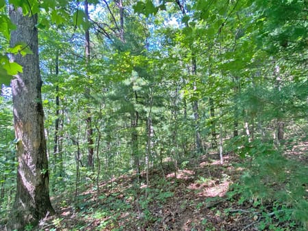 Dahlonega, GA 30533 Dawson County