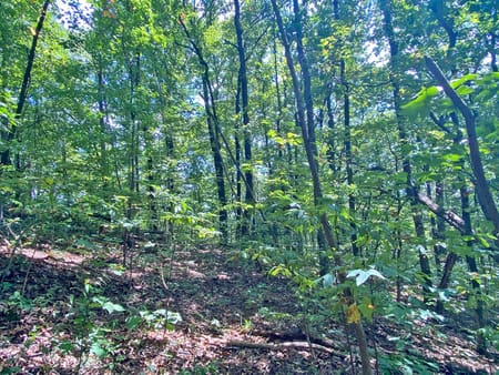 Dahlonega, GA 30533 Dawson County
