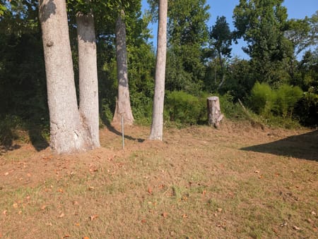 Swainsboro, GA 30401 Emanuel County