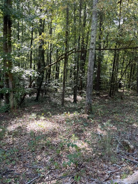 Winterville, GA 30683 Oglethorpe County
