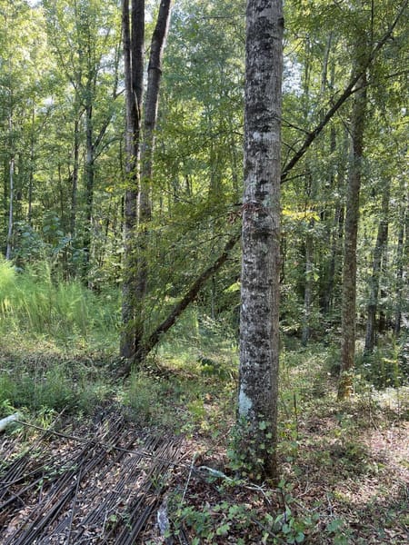 Winterville, GA 30683 Oglethorpe County