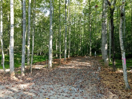 Blairsville, GA 30512 Union County