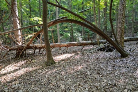 Big Canoe, GA 30143 Dawson County