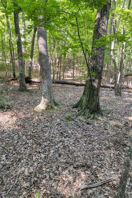 Big Canoe, GA 30143 Dawson County