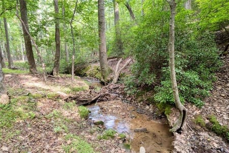 Big Canoe, GA 30143 Dawson County