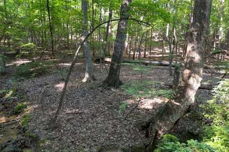 Big Canoe, GA 30143 Dawson County