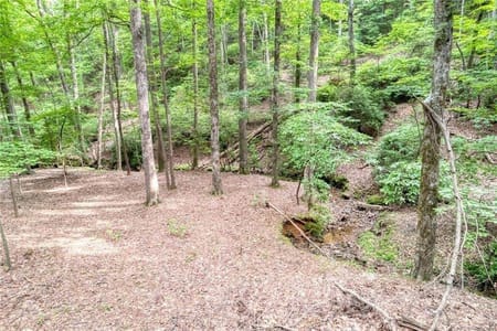 Big Canoe, GA 30143 Dawson County