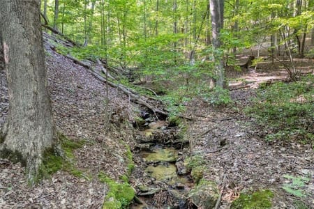Big Canoe, GA 30143 Dawson County