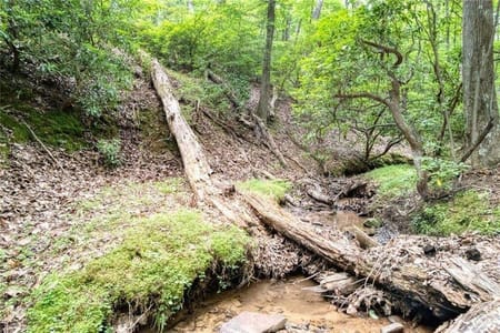 Big Canoe, GA 30143 Dawson County