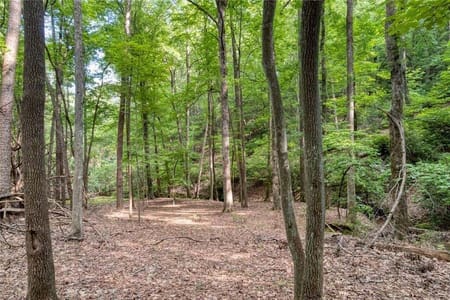 Big Canoe, GA 30143 Dawson County