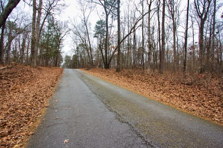 Loganville, GA 30052 Walton County