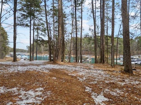 Buford, GA 30518 Gwinnett County