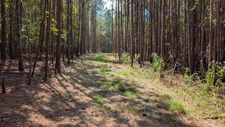 Ball Ground, GA 30107 Cherokee County