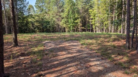 Ball Ground, GA 30107 Cherokee County