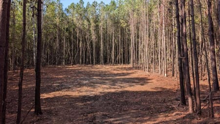 Ball Ground, GA 30107 Cherokee County