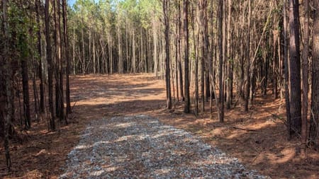 Ball Ground, GA 30107 Cherokee County