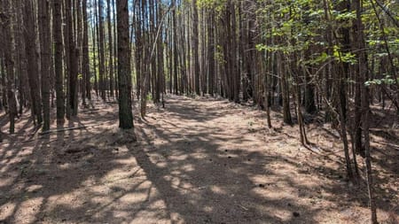 Ball Ground, GA 30107 Cherokee County