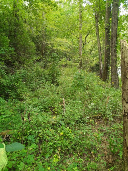 Talking Rock, GA 30175 Gilmer County