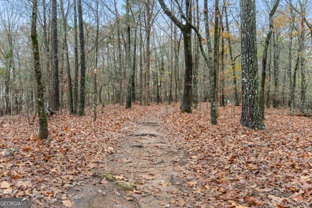 Peachtree City, GA 30269 Fayette County