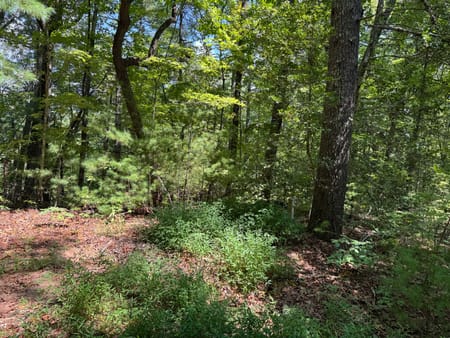 Helen, GA 30545 White County