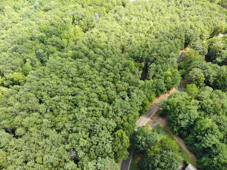 Clarkesville, GA 30523 Habersham County