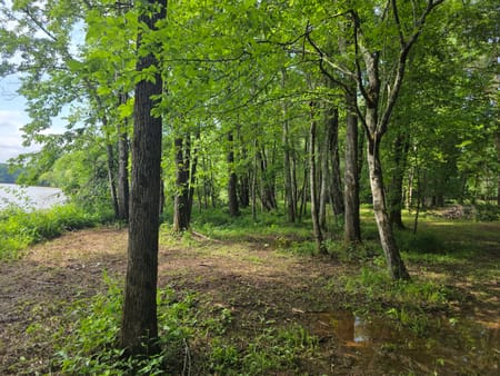 Madison, GA 30650 Morgan County