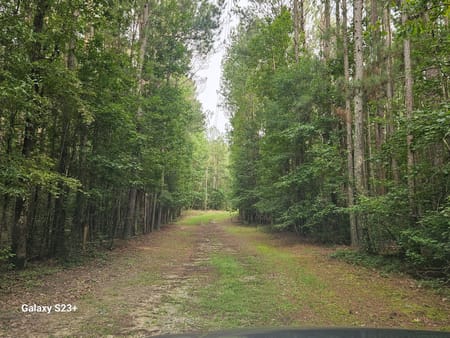 Union Point, GA 30669 Greene County
