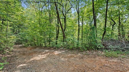 Cherry Log, GA 30522 Gilmer County