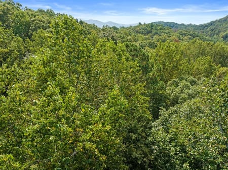 Cherry Log, GA 30522 Gilmer County