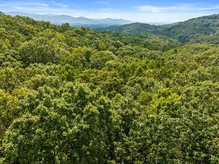Cherry Log, GA 30522 Gilmer County