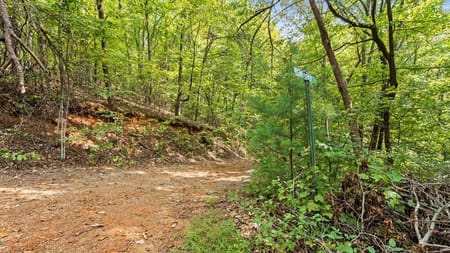 Cherry Log, GA 30522 Gilmer County