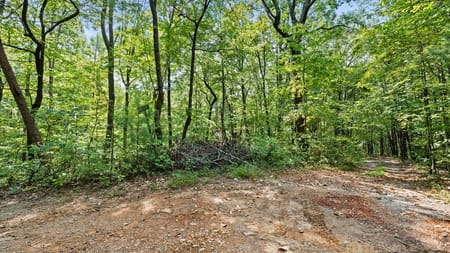 Cherry Log, GA 30522 Gilmer County