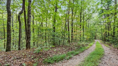 Cherry Log, GA 30522 Gilmer County
