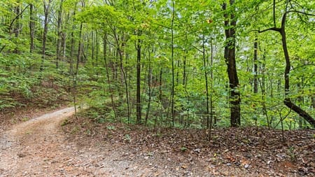 Cherry Log, GA 30522 Gilmer County
