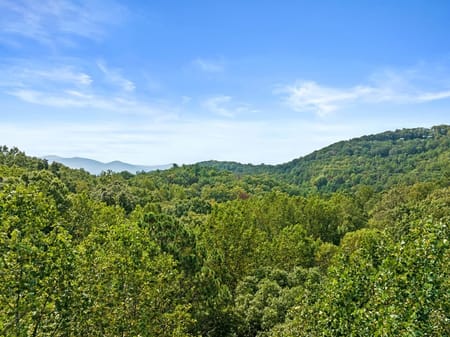 Cherry Log, GA 30522 Gilmer County