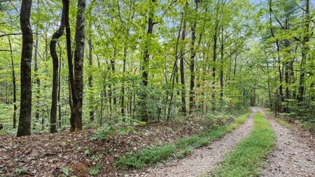 Cherry Log, GA 30522 Gilmer County