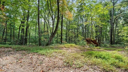 Cherry Log, GA 30522 Gilmer County