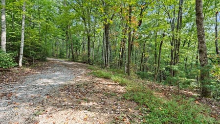 Cherry Log, GA 30522 Gilmer County