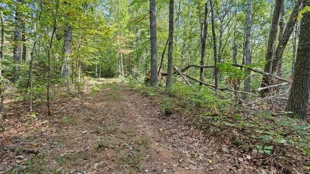 Cherry Log, GA 30522 Gilmer County
