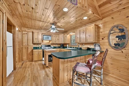 Morganton, GA 30560 Fannin County
