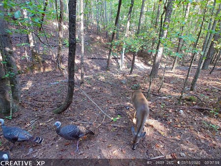 Canton, GA 30114 Cherokee County