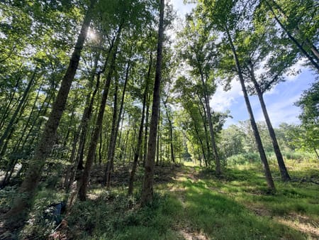 Carrollton, GA 30116 Carroll County