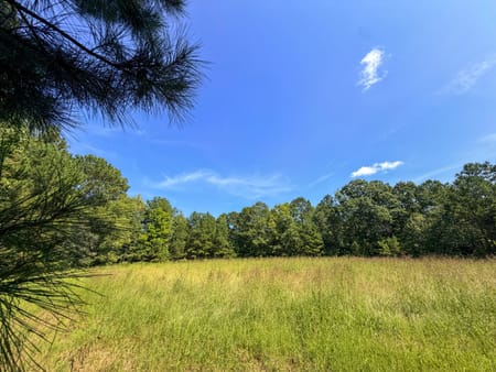 Carrollton, GA 30116 Carroll County