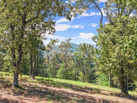 Cleveland, GA 30528 White County