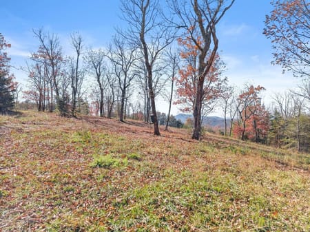 Cleveland, GA 30528 White County