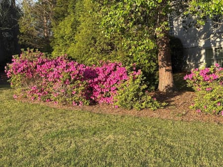 Greensboro, GA 30642 Greene County